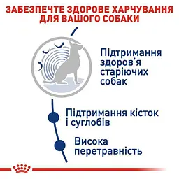 Сухий корм для старіючих собак великих порід Royal Canin Maxi Ageing 8+, 15 кг (2454150) - мініатюра 5
