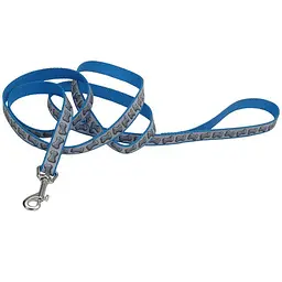 Coastal Lazer Brite Reflective Leash лазер брайт светоотражающий Повідець для собак 2.5см х 1.8м