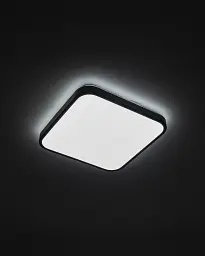 Світильник стельовий Nowodvorski 10984 Agnes Square LED PRO 1x16W 4000K 1300Lm IP44 чорний - мініатюра 2
