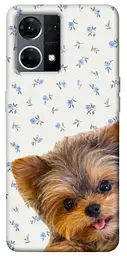 TPU чохол Demsky Cute Yorkie для Oppo Reno 7 4G