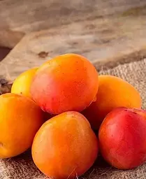 Саджанець Agro-Market Алича Злато Скіфів (літній сорт, ранній термін дозрівання) (39998) 1 шт. в упаковці - мініатюра 3