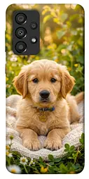 TPU чохол Demsky Small labradore для Samsung Galaxy A33 5G