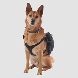 Рюкзак для собак Ultimate Direction Dog Vest V2 L Чорний-Сірий - мініатюра 2