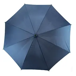 Парасолька Semi Line Blue (L2037-1) - мініатюра 2