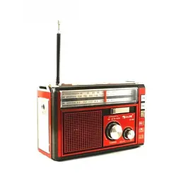 Радіоприймач на акумуляторі червоний колонка з радіо та ліхтариком FM USB MicroSD Golon RX-382