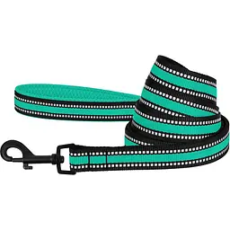 Повідець для собак BronzeDog Mesh, розмір S, 200х1,6 см, ментоловий - мініатюра 2