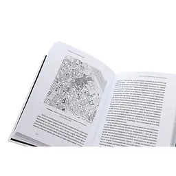 Книга Український Майдан, російська війна. Хроніка та аналіз Революції Гідності - Михайло Винницький Видавництво Старого Лева (9786176798866) - мініатюра 5