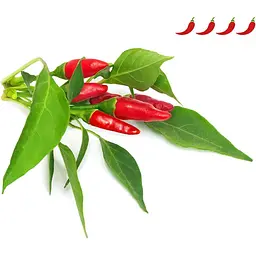 Змінний картридж Click & Grow Smart Garden Пірі-пірі чилі, 3 капсули (1401) - мініатюра 3