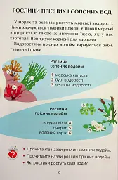 Я досліджую світ. 1 клас. Посібник-практикум. Частина 4 - мініатюра 6