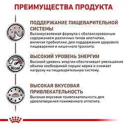 Влажный корм для котов Royal Canin Gastro Intestinal 85 г 40390011 - миниатюра 5