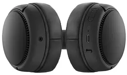 Гарнітура Panasonic RB-M300BGE-K (RB-M300BGE-K) - мініатюра 3