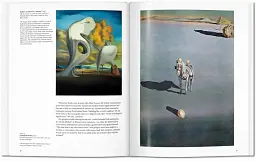 Dalí - мініатюра 4