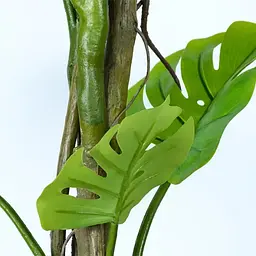 Штучна рослина Engard Monstera 180 см (TW-05) - мініатюра 2