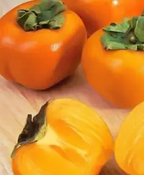 Саджанець Agro-Market Хурма на віргінській морозостійкій підщепі Мідер вищий сорт! (21382) 1 шт. в упаковці - мініатюра 5
