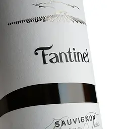 Вино Vinicolo Fantinel B.Tesis Sauvignon біле сухе 0.75 л (8000009737204) - мініатюра 4