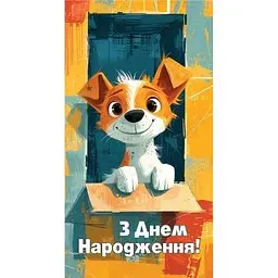Конверт для грошей 0158 Різнокольоровий