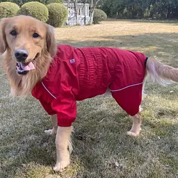 Комбінезон-дощовик для собак Derby Dog Suit Red D-S - мініатюра 6