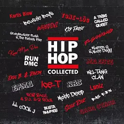 Вініловий диск VARIOUS ARTISTS / HIP HOP COLLECTED (2LP BLACK)