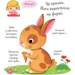 Книжка-картонка Богдан Хто це? Кролики - Бомон Емілія та Беліно Наталя (978-966-10-5139-2) - мініатюра 3
