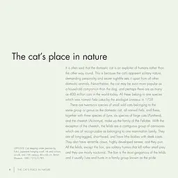 The British Museum Book of Cats - мініатюра 2