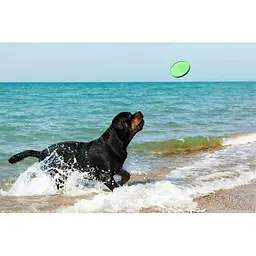 Літаюча тарілка Flyber, 22 см, салатова - мініатюра 15