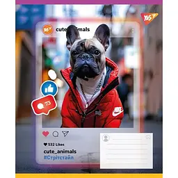 Зошит учнівський "Cute animals" Yes 767727 18 аркушів Різнокольоровий