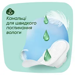 Гігієнічні прокладки Naturella Ніжний захист Normal Plus 16 шт. - мініатюра 4