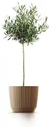 Горщик для квітів Prosperplast Ryfo Eco Wood круглий бежевий 130 мм (82616-4665) - мініатюра 2