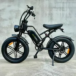 Електровелосипед Evobike e-Motion V9 (1000W 60V 21Ah) - мініатюра 2