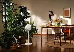 Вентилятор Xiaomi Mijia 18W Circulation Fan + (перехідник на EU розетку) (BPLDS08DM) - мініатюра 5