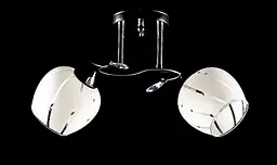 Люстра стельова Splendid Ray L6005/2, 2xE27, чорний/хром/білий, висота 24 см, діаметр 44 см, сучасний стиль для дому