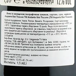 Вино Andante Vini Tiscone Cabernet Sauvignon Trevenezie, червоне, сухе, 1,5 л - мініатюра 3