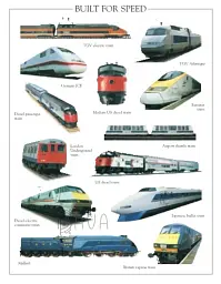 Train. Ultimate Sticker Book - мініатюра 5