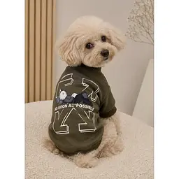 Теплий світшот ASAP Teddy хакі для собак та котів M OFF White zoo0005775