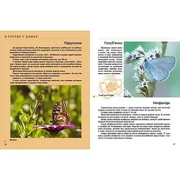 Енциклопедія для допитливих Талант Комахи та інші - Жабська Т. С. (9789669352385) - мініатюра 5