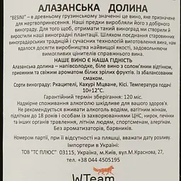 Вино Besini Alazani Valley, біле, напівсолодке, 13%, 0,75 л (8000016900848) - мініатюра 4
