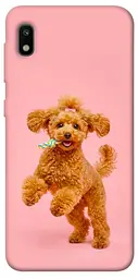 TPU чохол Demsky Happy poodle для Samsung Galaxy A10 (A105F)