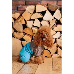 Комбінезон Pet Fashion Сharlie ХS2 для собак - мініатюра 9