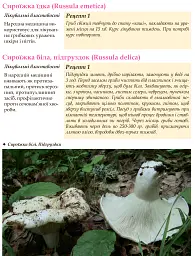 У пошуках грибного царства - мініатюра 7
