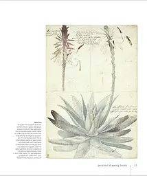 Botany for the Artist - мініатюра 5