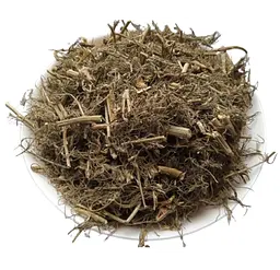 Курай пагорбовий Трава Salsola collina