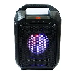 Портативна Bluetooth колонка RIAS B31 валіза з караоке Black (4_00164)