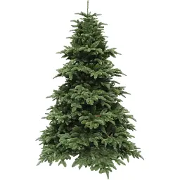Ялинка штучна Triumph Tree Abies Nordmann de Luxe 2.30 м зелена  - мініатюра 5