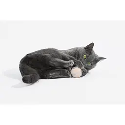 Іграшка для котів Cheerble Wicked Ball M3 (Apricot Beige) (CWQ02A) - мініатюра 7