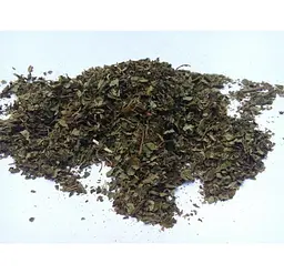 Вишня Листя Prunus cerasus - мініатюра 1