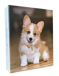 Фотоальбом EVG 10x15x200 BKM46200 DOG 4