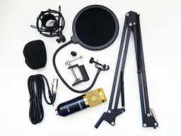 Конденсаторний студійний мікрофон RIAS M-800 Pro-MIC зі стійкою і вітрозахистом Black-Gold (4_00352) - мініатюра 6