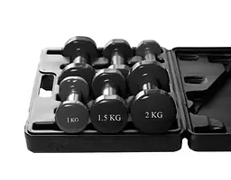Набір гантелей в кейсі 9 кг. PowerPlay 4121 Fitness Dumbells (2 шт*1 кг, 2 шт*1,5 кг, 2 шт*2 кг) (PP_4121_9kg) - мініатюра 3