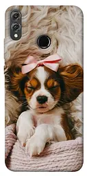 TPU чохол Demsky Sleepy spaniel для Huawei Honor 8X