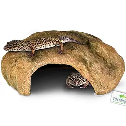 Декорація печера Terrario Gecko Cave M 21x17x8см (24178) - мініатюра 3